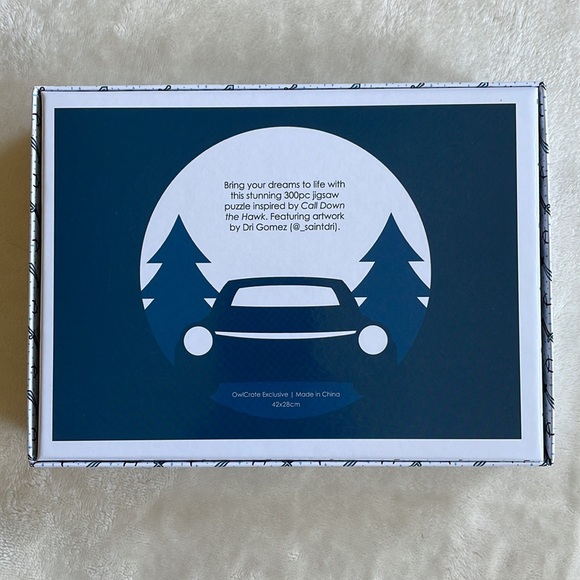 Puzzle inspired by Call Down the Hawk by Maggie Stiefvater from Owlcrate - Picture 2 of 3